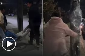 Detención ciudadana termina con un delincuente colombiano amarrado a un poste en Temuco