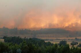 Declaran alerta roja para la comuna de Molina por incendio forestal