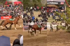 Carabinero sufre grave caída de caballo en pleno show en el Parque Padre Hurtado