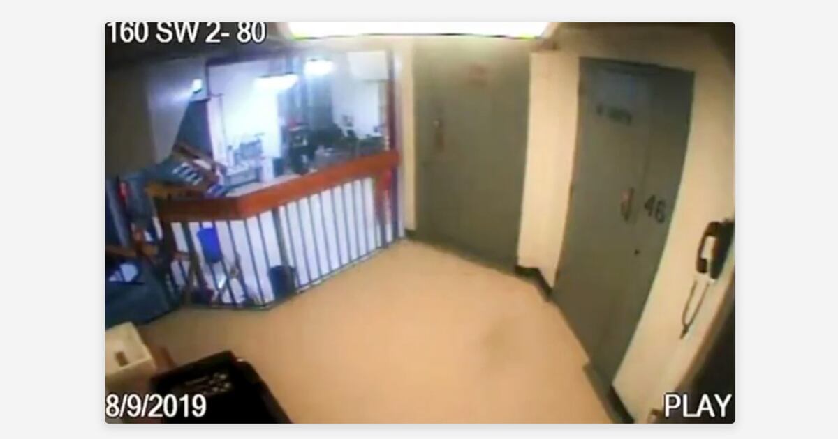 El Fantasma de Epstein se Convierte en un Partido Político: Cómo un Escándalo del Pasado Define la Lealtad y la Traición en la Era Trump