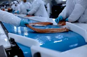 Camanchaca cierra el primer semestre con pérdidas por menores precios del salmón