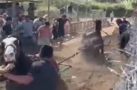 Carabineros detiene a cinco sujetos por maltrato a caballos y apuestas ilegales en Quilicura