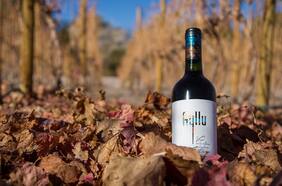 Un vino con sabor a desierto