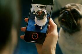 Así es la App que identifica a las mascotas por su nariz para reemplazar los microchips