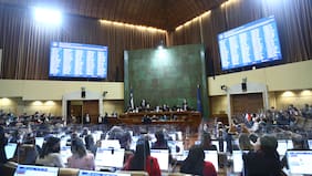 Sistema político: urgencia suma, reforma mínima