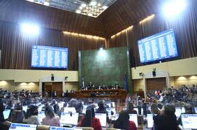 Año legislativo 2025