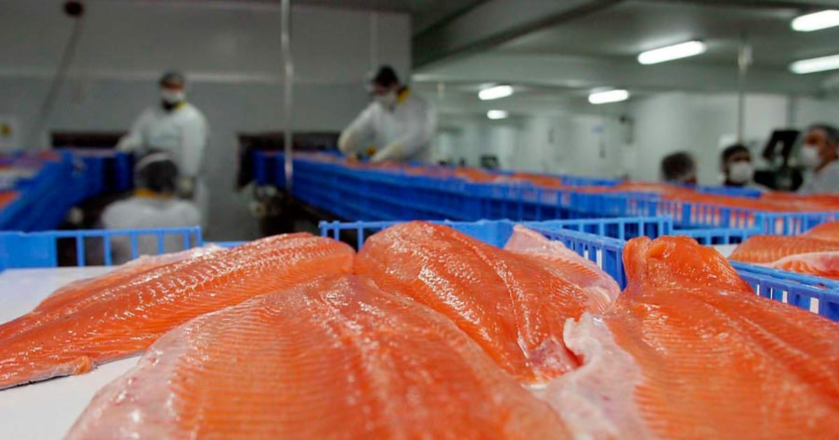 Australis Seafoods amplía por tercera vez querella por administración desleal