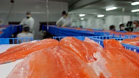 Socio de Southern Cross advierte sobre efectos del caso Australis en el sistema financiero