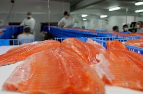 Australis Seafoods amplía por tercera vez querella por administración desleal