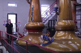 Desarrollan en Escocia un combustible a base de Whisky