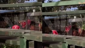 Captan a funcionarios de Conaf jugando con brasas en base operativa de Romeral