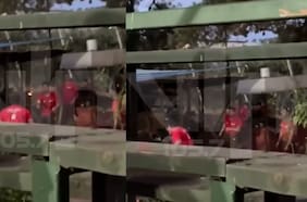 Captan a funcionarios de Conaf jugando con brasas en base operativa de Romeral