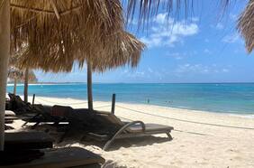 Cocha cambia su estructura familiar y se proyecta con profesionales externos