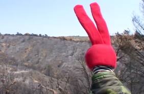 El video de 31 Minutos que anticipó el incendio en el Jardín Botánico