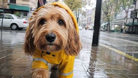 En qué comunas de la Región Metropolitana podría llover este fin de semana, según el pronóstico