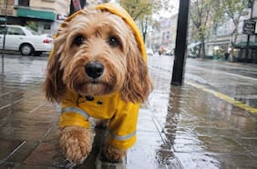 En qué comunas de la Región Metropolitana podría llover este fin de semana, según el pronóstico