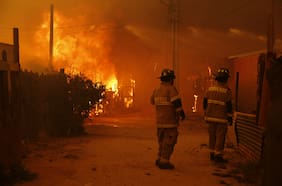 Incendios: Conaf y Senapred designan a fiscales y fijan el 29F como plazo para entregar informes sobre fallas en la emergencia