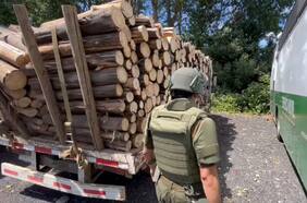 Banda dedicada al robo de madera en Malleco fue condenada a tres años de presidio: especies incautadas superan los 300 millones