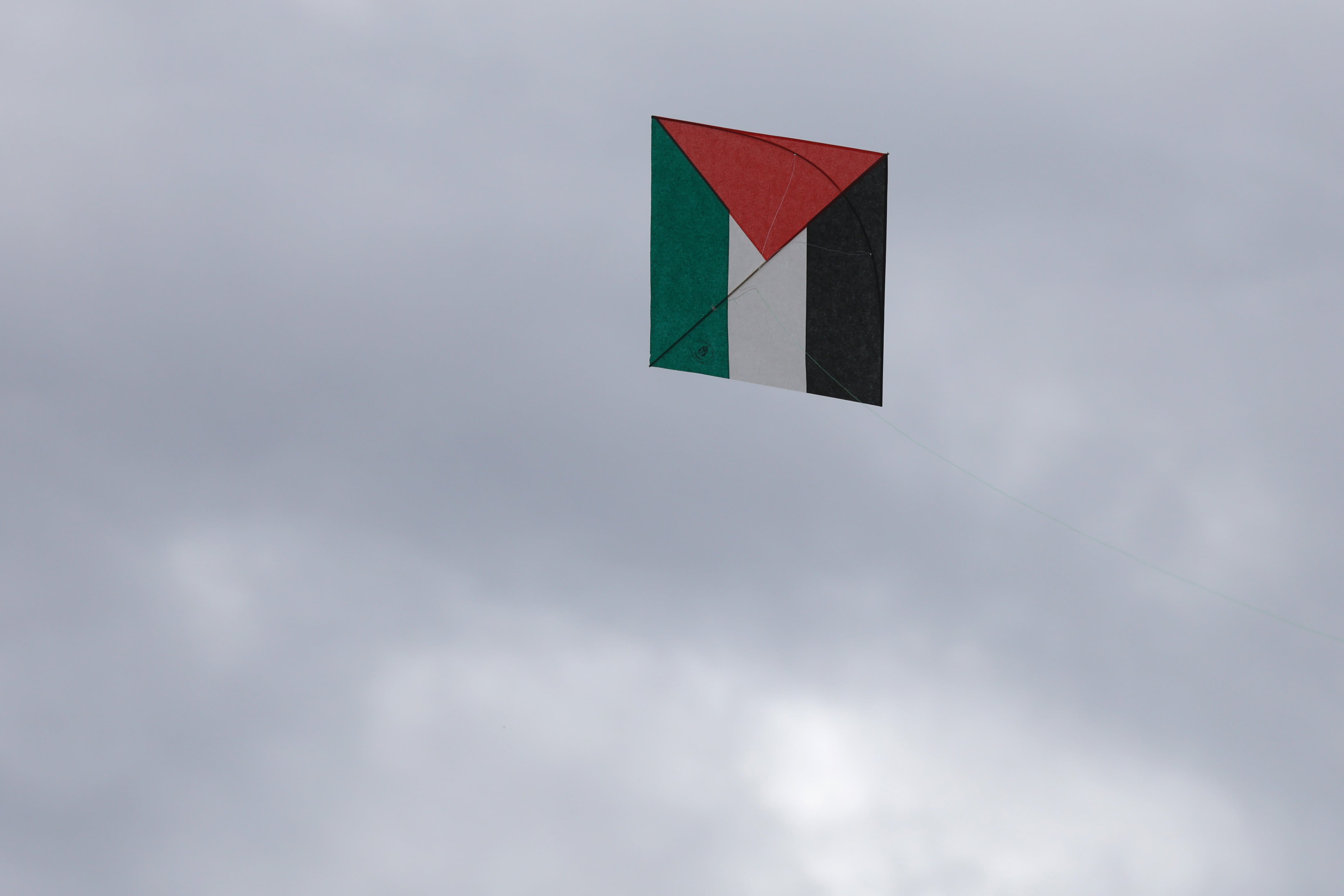 Jornada de volantines por Palestina reúne a cerca de mil personas en el Parque O’Higgins