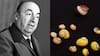 Pablo Neruda, malacólogo: Universidad de Chile reabre la gran muestra de caracolas del poeta