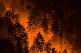 Siberia se derrite: incendios y ola de calor han provocado un dramático deshielo de la zona más fría del planeta