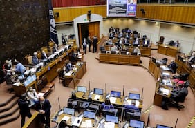 Senado aprueba proyecto de biocombustibles sólidos y es despachado para su promulgación