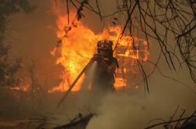 SEC tras anuncio de Saesa: eléctricas que corten luz para evitar incendios forestales se exponen a multas de hasta $7.700 millones