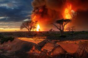 Cómo fue el mega El Niño que provocó la mayor extinción masiva de la historia: “No había dónde esconderse”