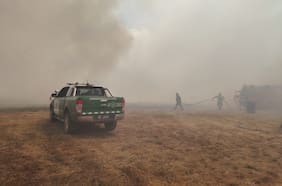 Fiscalía Regional de Ñuble indaga el origen de incendios forestales en la zona