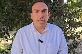 La última arremetida de la UDI en el Tricel por cupo del distrito 17: Fermandois ingresa reposición para revertir fallo