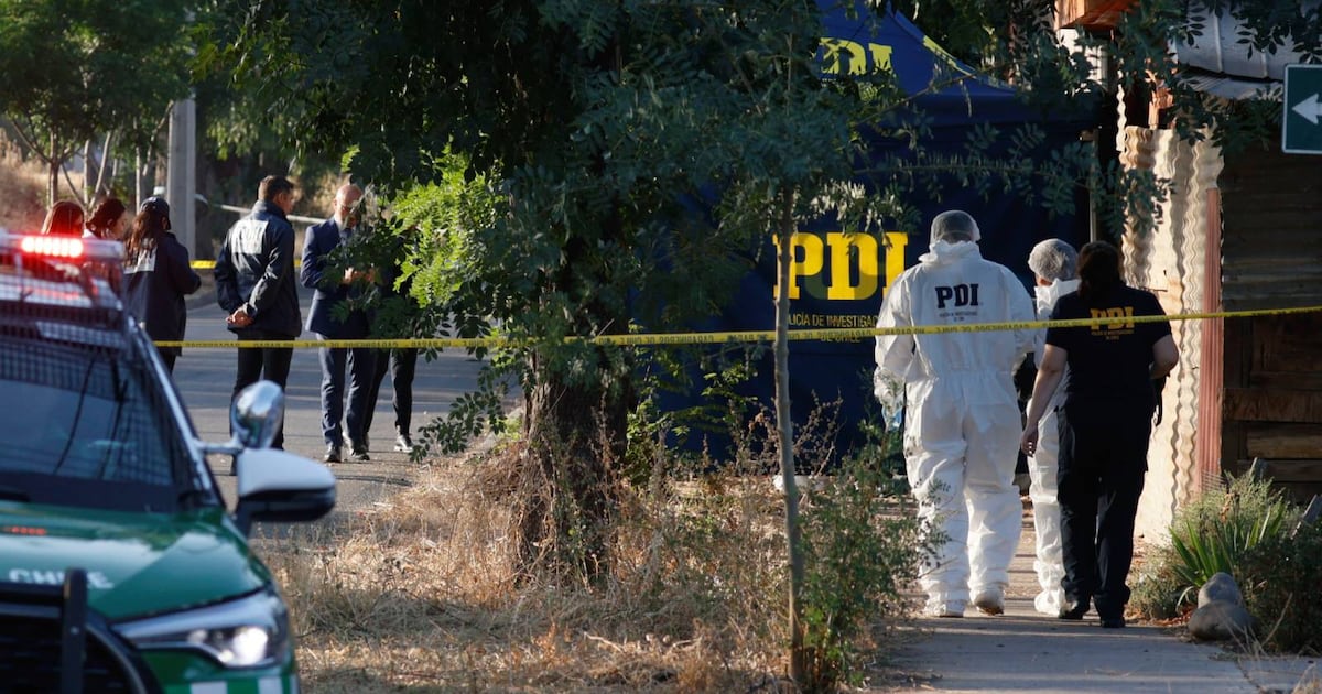 El crimen organizado y la inmigración irregular: un desafío que Chile aún no resuelve