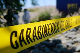 Carabineros investiga ataque incendiario en predio forestal ubicado en Contulmo