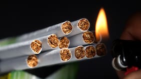 Megarreforma del gobierno introduce agravante para elevar las penas del contrabando de tabaco