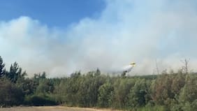 Senapred solicita evacuación de sector de Limache debido a incendio forestal