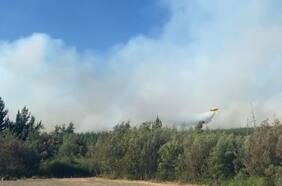 Declaran alerta roja y ordenan evacuación de tres sectores de Yumbel por incendio forestal
