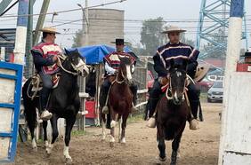 Federación de Rodeo lanza la temporada 2024-2025