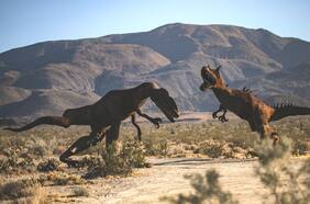 Descubren un nuevo dinosaurio del tamaño de un bus que habría sido uno de los más grandes depredadores de su época