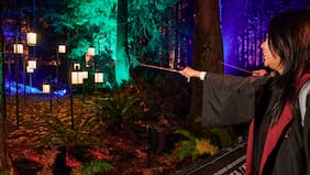 Lo que debes saber de Harry Potter: La Experiencia del Bosque Prohibido en Santiago