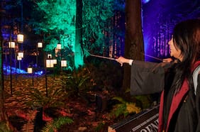 Lo que debes saber de Harry Potter: La Experiencia del Bosque Prohibido en Santiago