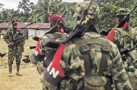 Misión de la OEA pide a grupos guerrilleros que concreten el alto al fuego con el gobierno colombiano