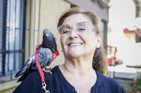 Mi mascota y yo: él me ayudó a vivir