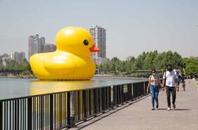 Todo lo que debes saber para ir a conocer al pato de hule del Festival Hecho en Casa