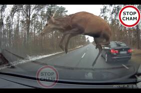 Esta es la mejor demostración de por qué debes conducir siempre atento a las condiciones del tránsito