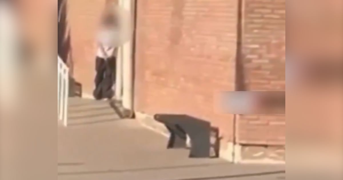 Pánico en Mendoza: alumna de 14 años llevó un arma al colegio y disparó al menos dos veces