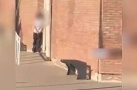 Pánico en Mendoza: alumna de 14 años llevó un arma al colegio y disparó al menos dos veces