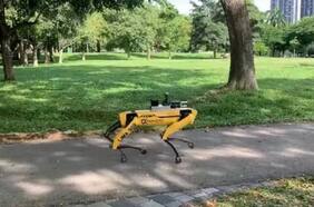 ¿Black Mirror? En Singapur usan “perros robots” para reforzar el distanciamiento social