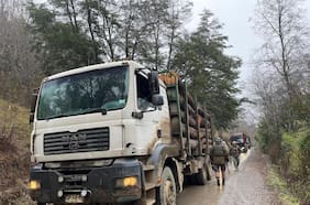 Macrozona Sur: eventos de robo de madera llegan a 586 en los primeros siete meses de este año