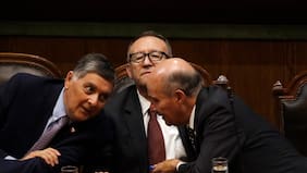 ¿Se limita o no la gratuidad universitaria por edad? El choque de versiones entre Alvarado, García y Quiroz