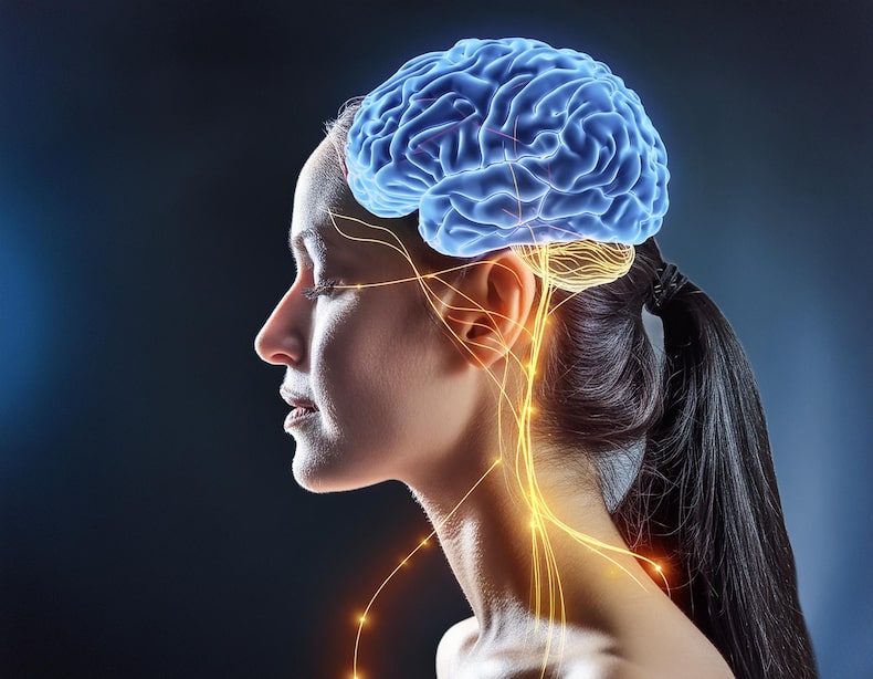 Brain research