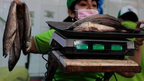 Semana Santa: pescados y mariscos hasta duplican su precio en ferias libres